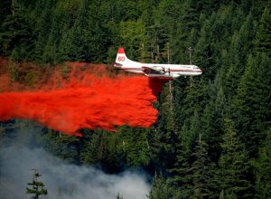 UBC research helps to improve firefighter pilot safety